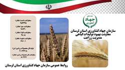گزارش عملکرد سال زراعی ۱۴۰۴_۱۴۰۳ محصولات شاخص زراعی مدیریت زراعت سازمان جهاد کشاورزی لرستان 