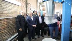 جهش فناورانه تات در صنایع چوب/ رونمایی از پایلوت‌های پیشرفته تولید الیاف و خمیر کاغذ