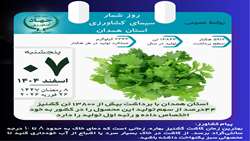 رتبه اول استان همدان در تولید گشنیز  