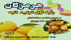 اینفوگرافی| هرمزگان، رتبه اول تولید انبه در کشور