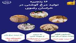 اینفوگرافی |جایگاه ۱۶ زنجیره تولید مرغ گوشتی در خراسان رضوی
