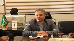 شتاب در خودکفایی بذر سیب‌زمینی چهارمحال و بختیاری؛ میدان‌داری شرکت‌های دانش‌بنیان برای کاهش واردات و تقویت تولید داخلی