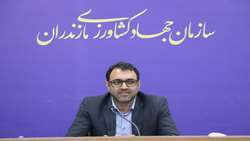 معرفی ۳۵ طرح کشاورزی مازندران برای دریافت  تسهیلات  