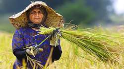 برگزاری نشست عاملیت زنان روستایی و عشایری در توسعه ایران در  23 تیرماه