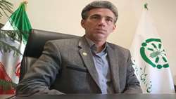یارانه نقدی کود به حساب کشاورزان مرکزی واریز شد