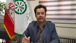 آغاز واریز یارانه‌های نقدی کودهای فسفاته و پتاسه به حساب کشاورزان همدانی