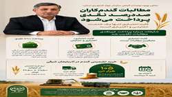  مطالبات گندم‌کاران؛ صددرصد نقدی، بدون هیچ تغییری در شیوه پرداخت