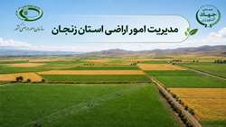 مدیریت امور اراضی سازمان جهاد کشاورزی استان زنجان رتبه اول کشور را کسب کرد   
