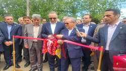 دو رقم جدید برنج «تی‌تی» و «کویر» رونمایی شد/ توسعه سبد ارقام پرمحصول و کم‌آب‌بر کشور