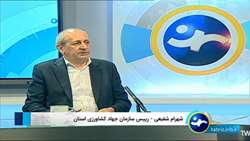 سطح پوشش بیمه اراضی زراعی آذربایجان شرقی به بیش از ۶۰۰ هزار هکتار رسید