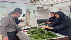 ضرورت ترویج عملی فعالیت های کشاورزی