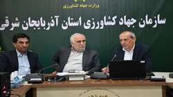 تولید سالانه بیش از ۱۲۰ هزار تن گوشت مرغ در آذربایجان شرقی