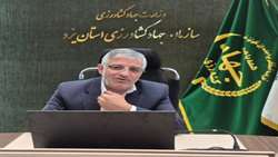  ۸ هزار هکتار از اراضی یزد زیر کشت گندم/ پیش‌بینی برداشت بیش از ۳۰ هزار تن