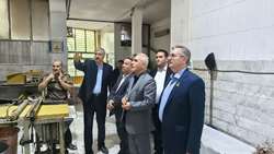 تأکید تعاون روستایی بر توسعه صنایع تکمیلی زنبورداری/تأمین عسل روستابازارهای کشور از خوی