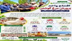 افتتاح واحد پرورش مرغ گوشتی در شهرستان تویسرکان