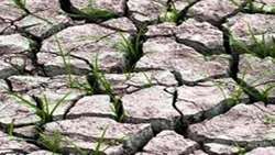 مدیریت ریسک با استفاده از بیمه محصولات کشاورزی