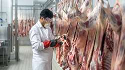 نظارت ویژه دامپزشکی قزوین بر ذبح دام‌های نذری در محرم