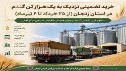 خرید تضمینی حدود یکهزار تن گندم در استان زنجان (از ۲۵ خرداد تا ۶ تیرماه)