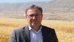 عملیاتی شدن ۹۸ درصد طرح پایداری تولید در دیم‌زارهای لرستان