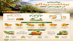 🍑 نوید فصل طلایی زردآلو در جلفا