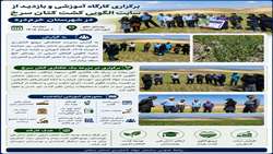گامی نو در توسعه کشت گیاهان دارویی