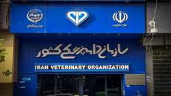 بیانیه سازمان دامپزشکی کشور: تأکید بر اهمیت امنیت غذایی، حفاظت 
