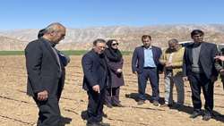 بازدید میدانی رئیس سازمان جهاد کشاورزی لرستان از مزارع استان