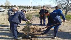 ترویج فرهنگ درختکاری و حفظ منابع پایه کشور ضروری است