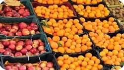 تأمین میوه پایان سال در مازندران/آماده‌سازی ۳۰۰ تن سیب و پرتقال برای تنظیم بازار