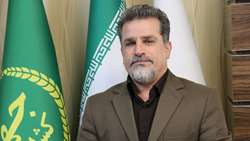 خط قرمز بر دیوارکشی‌های خودسرانه؛ از ابطال ممنوعیت مطلق تا مجازات‌های سنگین حبس