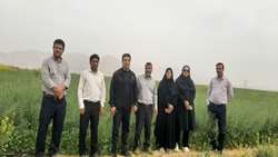 پایش مزارع کلزا در ارزوییه؛ تلاش کارشناسان جهاد کشاورزی برای کنترل شته مومی و حفظ امنیت تولید