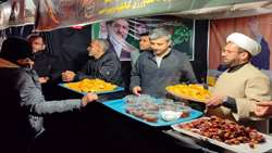 حماسه خدمت؛ موکب جهاد کشاورزی کهگیلویه و بویراحمد در شب بیست و دوم مقاومت