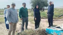 بازدید رییس جهاد کشاورزی فارس از مناطق سیل زده فراشبند