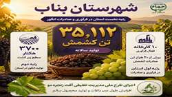 بناب؛ قطب فرآوری و صادرات انگور در آذربایجان‌شرقی