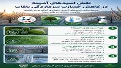  اسیدهای آمینه؛ سپر بیولوژیک در برابر سرما  