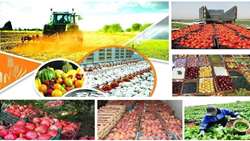 استقبال گسترده فعالان کشاورزی از فراخوان ملی رفع موانع برای پایداری تولید و امنیت غذایی