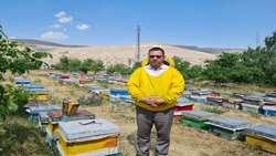 تثبیت جایگاه آذربایجان شرقی در صنعت زنبورداری کشور/از تولید ۱۵ هزار تن عسل تا پیشتازی در فرآوری و بسته‌بندی