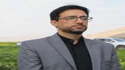پیش‌بینی تولید ۶۰۰ تن دانه روغنی کلزا در شهرستان رومشکان 