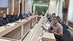 راهبردهای نوین در یزد؛ پیشران جهش صنایع تبدیلی و غذایی استان