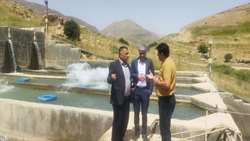 خیز چهارمحال و بختیاری برای تولید یکهزار تن ماهی با الگوی کشت قراردادی