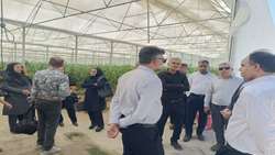 احداث ایستگاه هواشناسی در بخش رودخانه شهرستان رودان؛ پاسخی به نیازهای کشاورزی و گلخانه‌ای منطقه