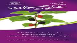 برگزاری سومین جشنواره شاتوت در روستای «هزاررود» طارم
