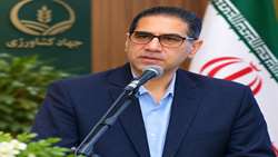 توسعه کشت قراردادی در ۱۲۲ هزار هکتار از اراضی خراسان رضوی