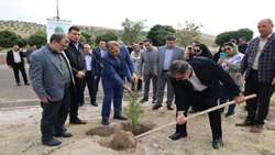 کاشت ۱۰۰ اصله نهال در ورزشگاه یادگار امام (ره) تبریز/ تداوم پویش‌های درختکاری در آذربایجان شرقی