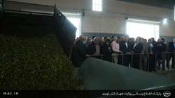 بازدید از دو مجموعه صنایع تبدیلی  زیتون در استان قزوین توسط وزیر جهاد کشاورزی 