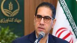 پایان  خام‌فروشی و آغاز رصد «از مزرعه تا سفره»؛ الزامات جدید جهاد کشاورزی برای صادرکنندگان خراسان رضوی