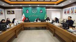شناسایی و معرفی الگوهای موفق زنان روستایی و عشایری در مجامع بین‌المللی