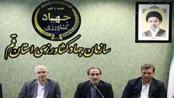 «انتقال جنین» گام جدید استان قم برای اصلاح نژاد دام