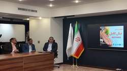 بستر فرهنگی مصرف نان کامل در کرمان وجو دارد/ سلامت نان، مستقیماً بر سلامت مردم اثر می‌گذارد