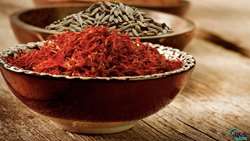 تحول در زنجیره ارزش زعفران و گیاهان دارویی در خراسان رضوی/ احداث ۶ هکتار باغ مادری زعفران و تداوم صدرنشینی در تولید زیره سبز کشور